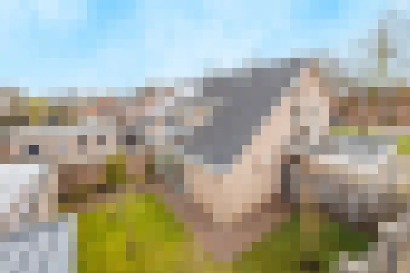 Sint Hubertse Binnenweg 56 Sint Hubert thumbnail 37