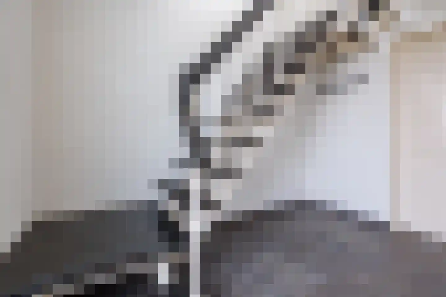 Sint Hubertse Binnenweg 56 Sint Hubert thumbnail 6