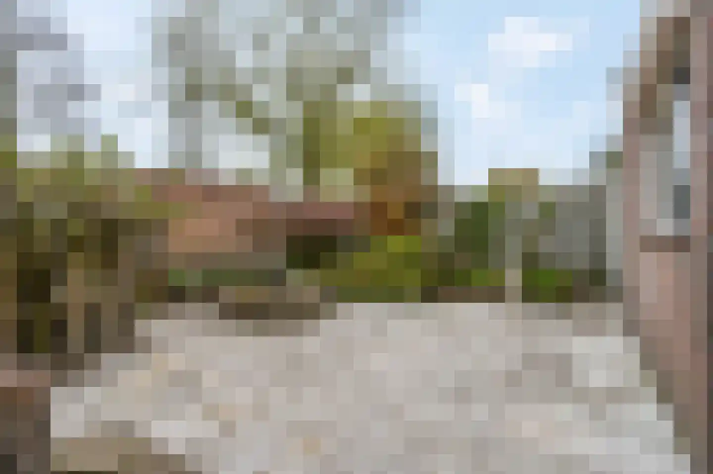Sint Hubertus 193 Ede thumbnail 21