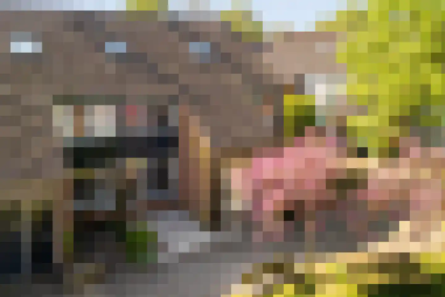 Sint Hubertus 23 Ede thumbnail 24