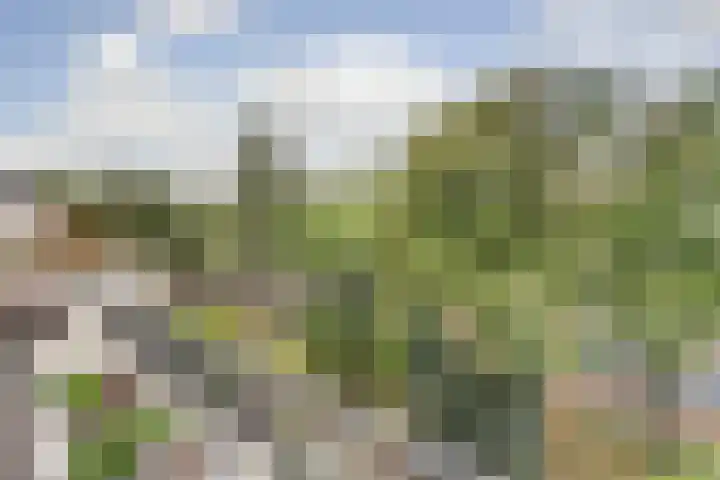 Sint Hubertus 344 Ede thumbnail 33