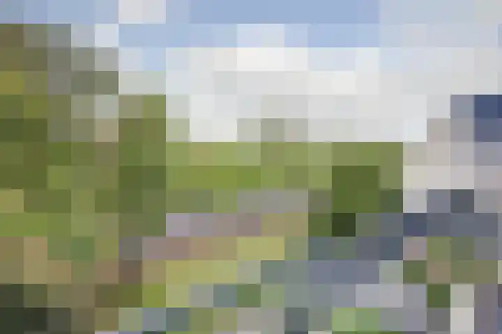 Sint Hubertus 344 Ede thumbnail 34