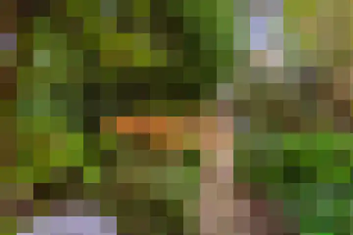 Sint Hubertus 69 Ede thumbnail 43