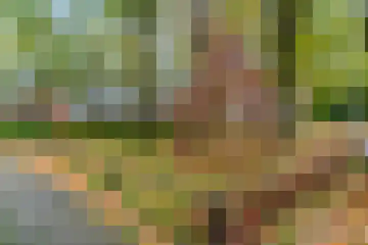 Sint Hubertus 69 Ede thumbnail 46