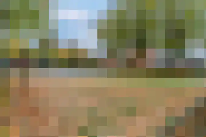 Sint Hubertus 69 Ede thumbnail 48
