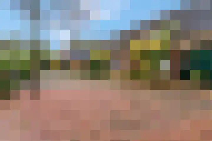 Sint Hubertus 69 Ede thumbnail 7