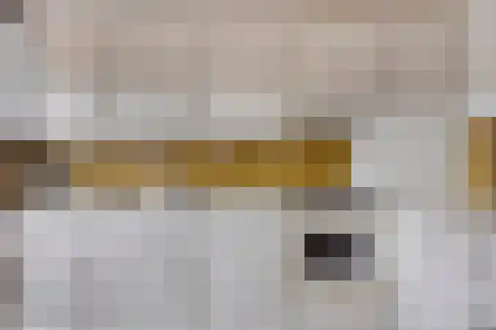 Sint Hubertuslaan 15 Son en Breugel thumbnail 11