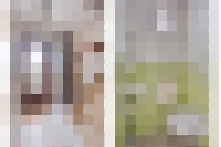 Sint Hubertuslaan 15 Son en Breugel thumbnail 12