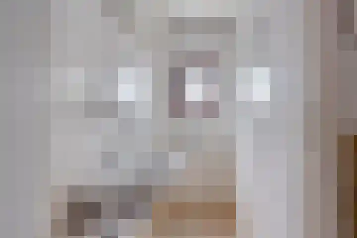 Sint Hubertuslaan 15 Son en Breugel thumbnail 17