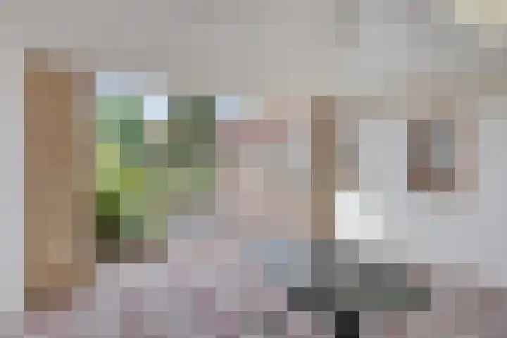 Sint Hubertuslaan 15 Son en Breugel thumbnail 19