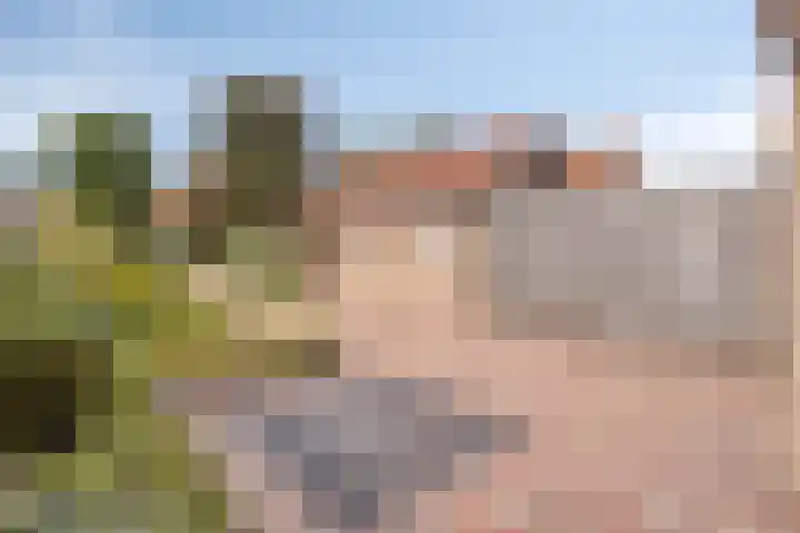 Sint Hubertuslaan 15 Son en Breugel thumbnail 21