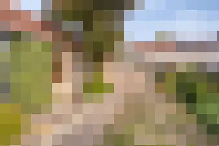 Sint Hubertuslaan 15 Son en Breugel thumbnail 22