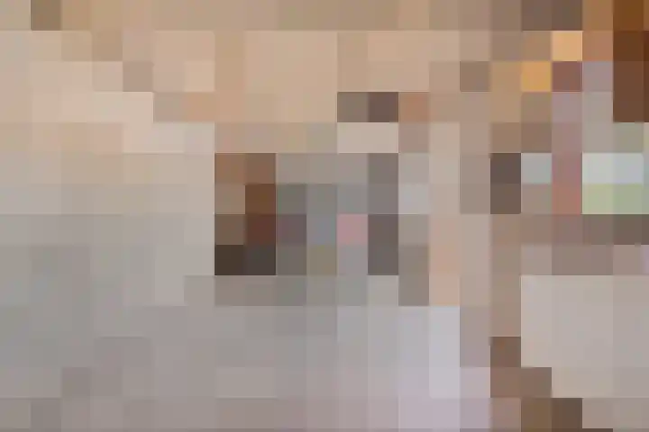 Sint Hubertuslaan 15 Son en Breugel thumbnail 27