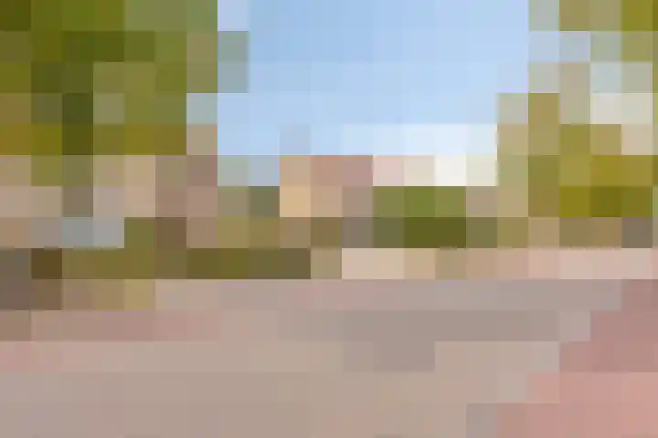 Sint Hubertuslaan 15 Son en Breugel thumbnail 31
