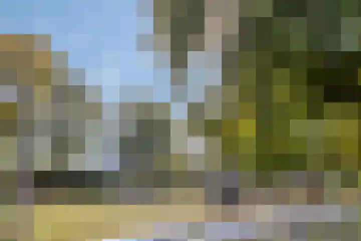 Sint Hubertuslaan 15 Son en Breugel thumbnail 33