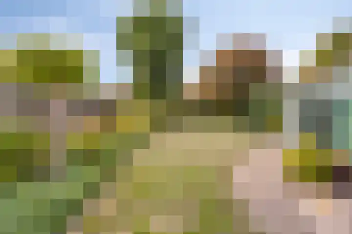 Sint Hubertuslaan 15 Son en Breugel thumbnail 4
