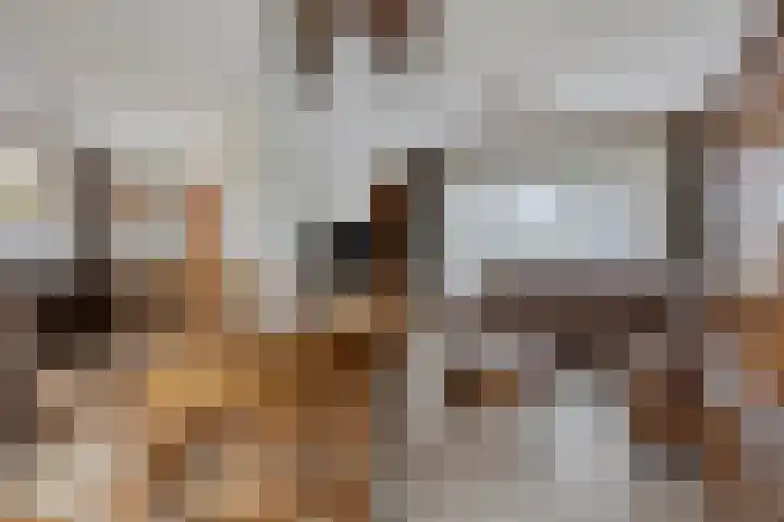 Sint Hubertuslaan 15 Son en Breugel thumbnail 5