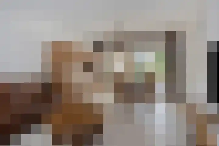 Sint Hubertuslaan 15 Son en Breugel thumbnail 6