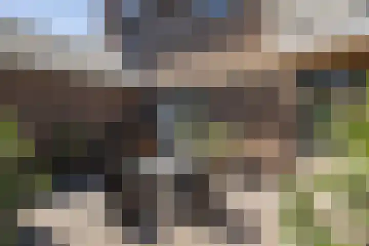 Sint Hubertuslaan 16 Bilthoven thumbnail 15