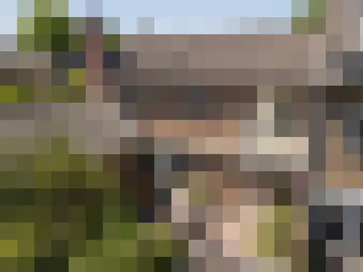 Sint Hubertuslaan 16 Bilthoven thumbnail 16