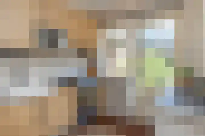 Sint Hubertuslaan 16 Bilthoven thumbnail 19