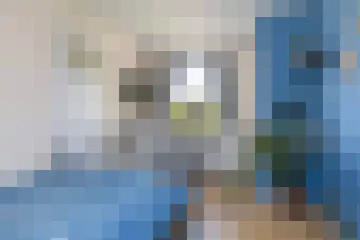 Sint Hubertuslaan 16 Bilthoven thumbnail 26