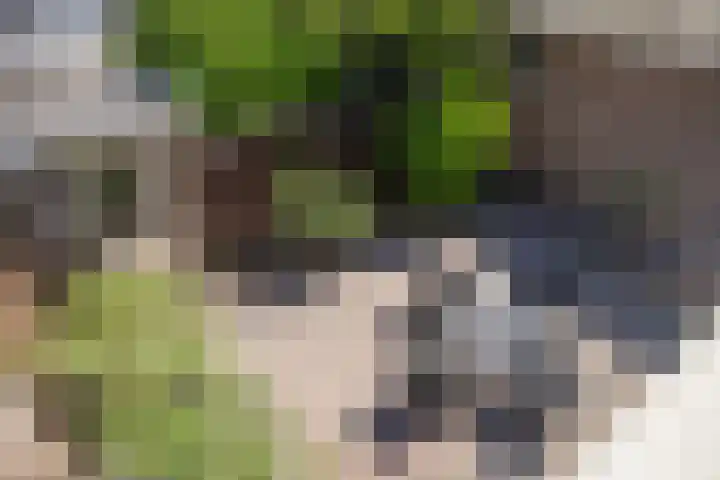Sint Hubertuslaan 16 Bilthoven thumbnail 4