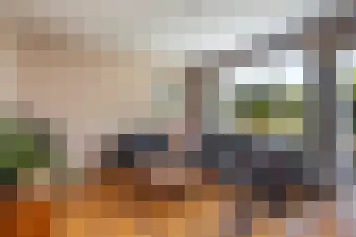 Sint Hubertuslaan 16 Bilthoven thumbnail 8