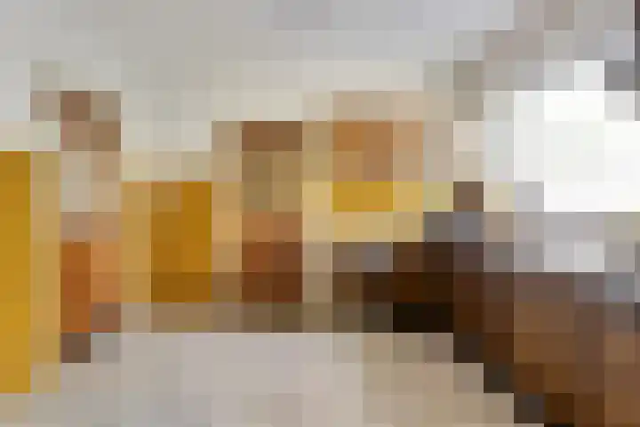 Sint Hubertuslaan 37 Son en Breugel thumbnail 11