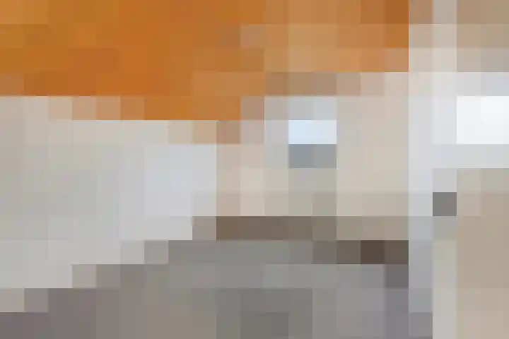Sint Hubertuslaan 37 Son en Breugel thumbnail 24