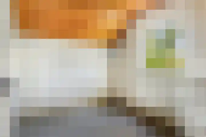 Sint Hubertuslaan 37 Son en Breugel thumbnail 30
