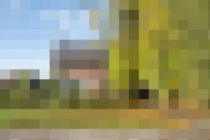 Sint Hubertuslaan 37 Son en Breugel thumbnail 32