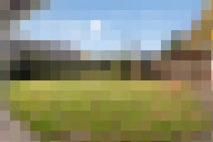 Sint Hubertuslaan 37 Son en Breugel thumbnail 34