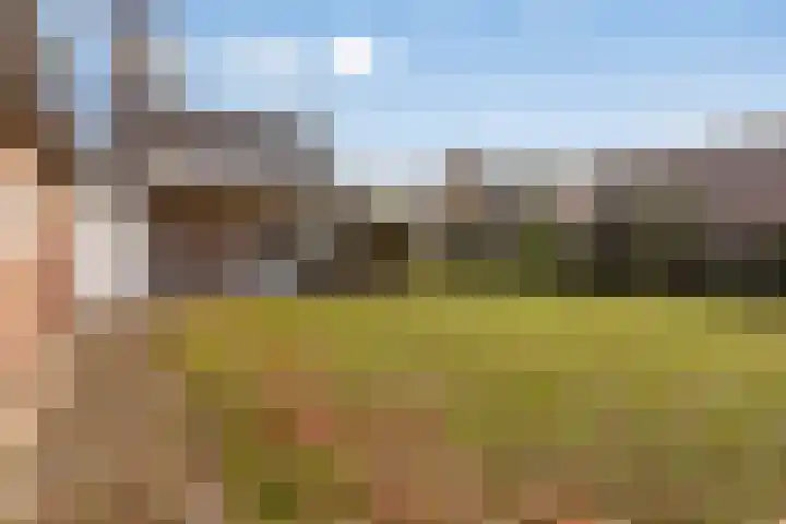 Sint Hubertuslaan 37 Son en Breugel thumbnail 36