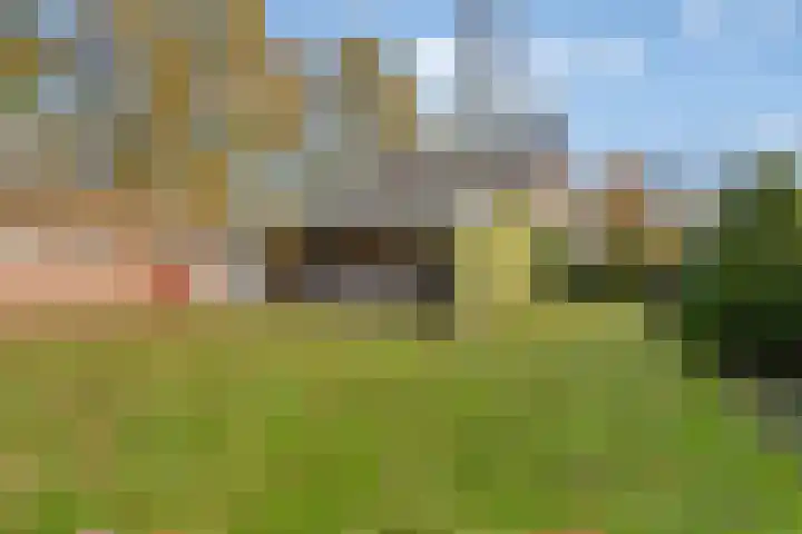 Sint Hubertuslaan 37 Son en Breugel thumbnail 37