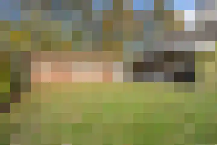 Sint Hubertuslaan 37 Son en Breugel thumbnail 38