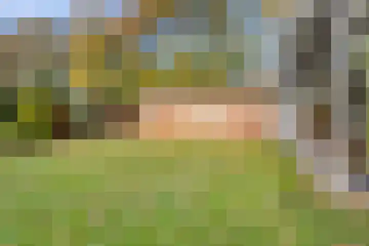 Sint Hubertuslaan 37 Son en Breugel thumbnail 39