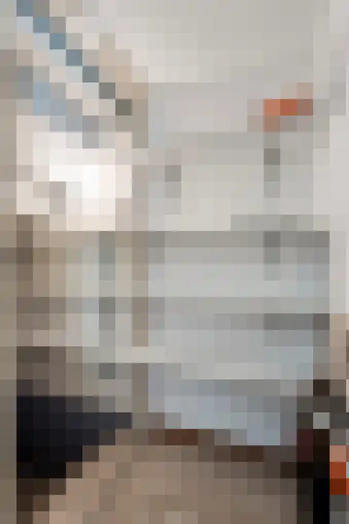 Sint Hubertuslaan 37 Son en Breugel thumbnail 8