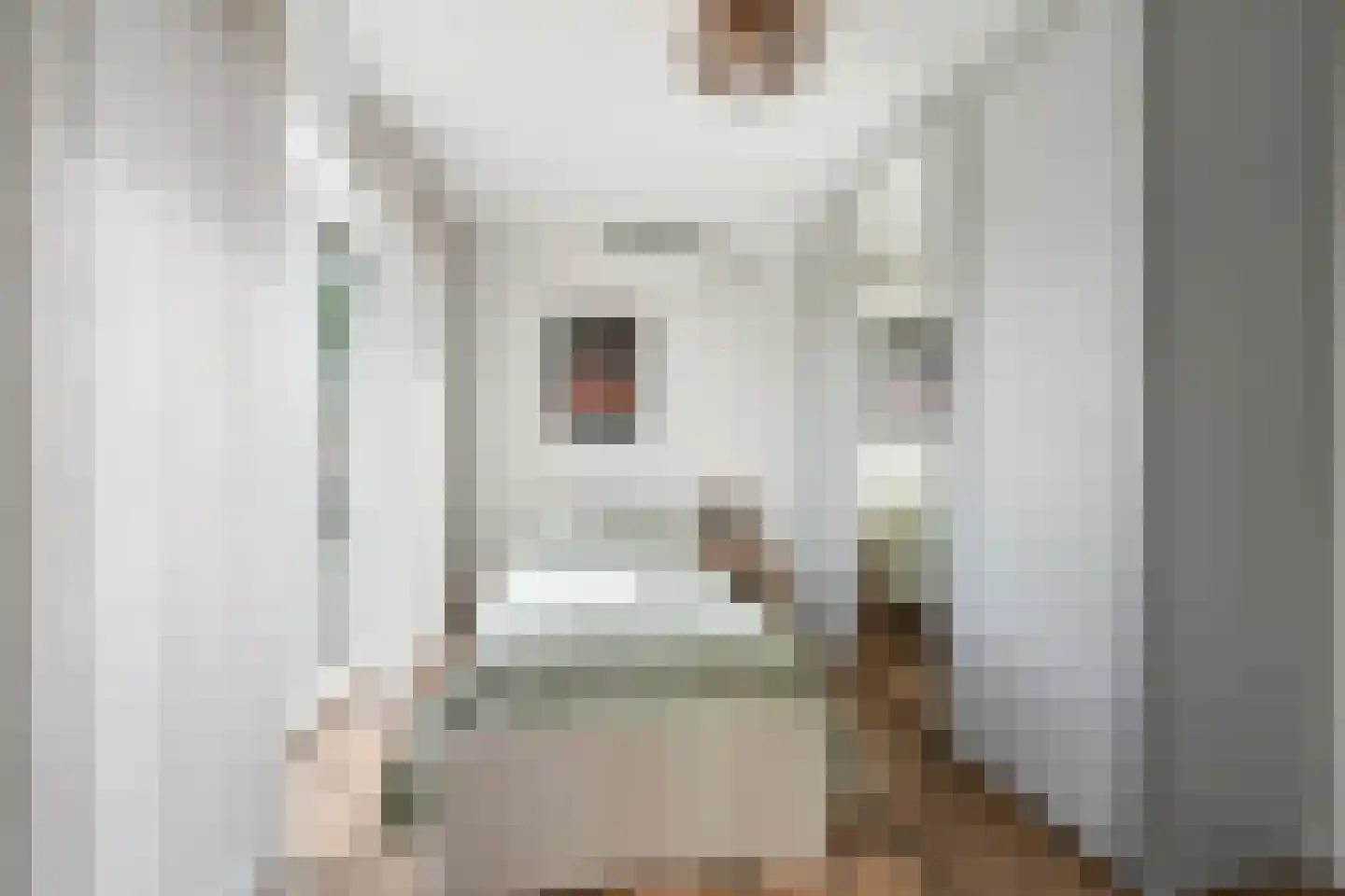 Sint Hubertuslaan 5 Urmond thumbnail 32