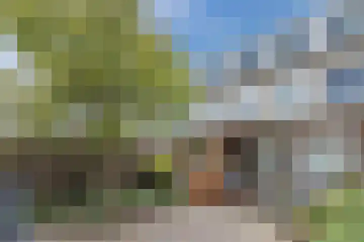 Sint Hubertuslaan 98 Driebergen-Rijsenburg thumbnail 29