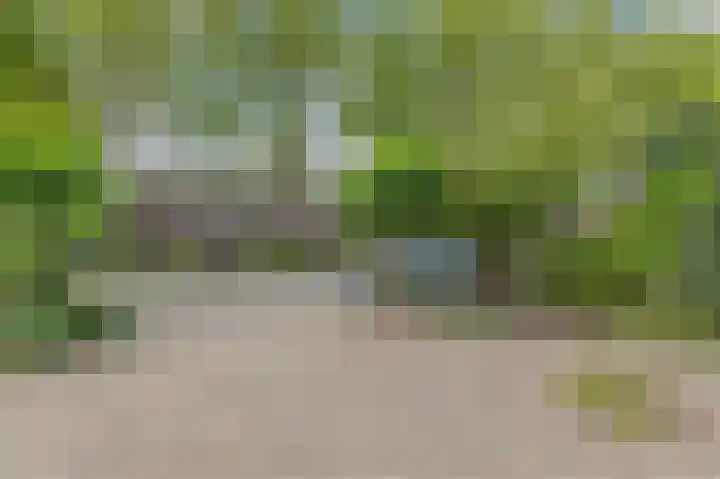 Sint Hubertuslaan 98 Driebergen-Rijsenburg thumbnail 34