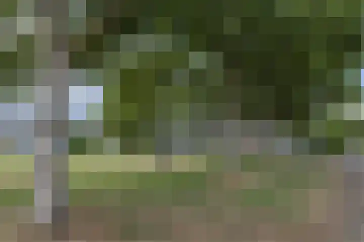 Sint Hubertuslaan 98 Driebergen-Rijsenburg thumbnail 36