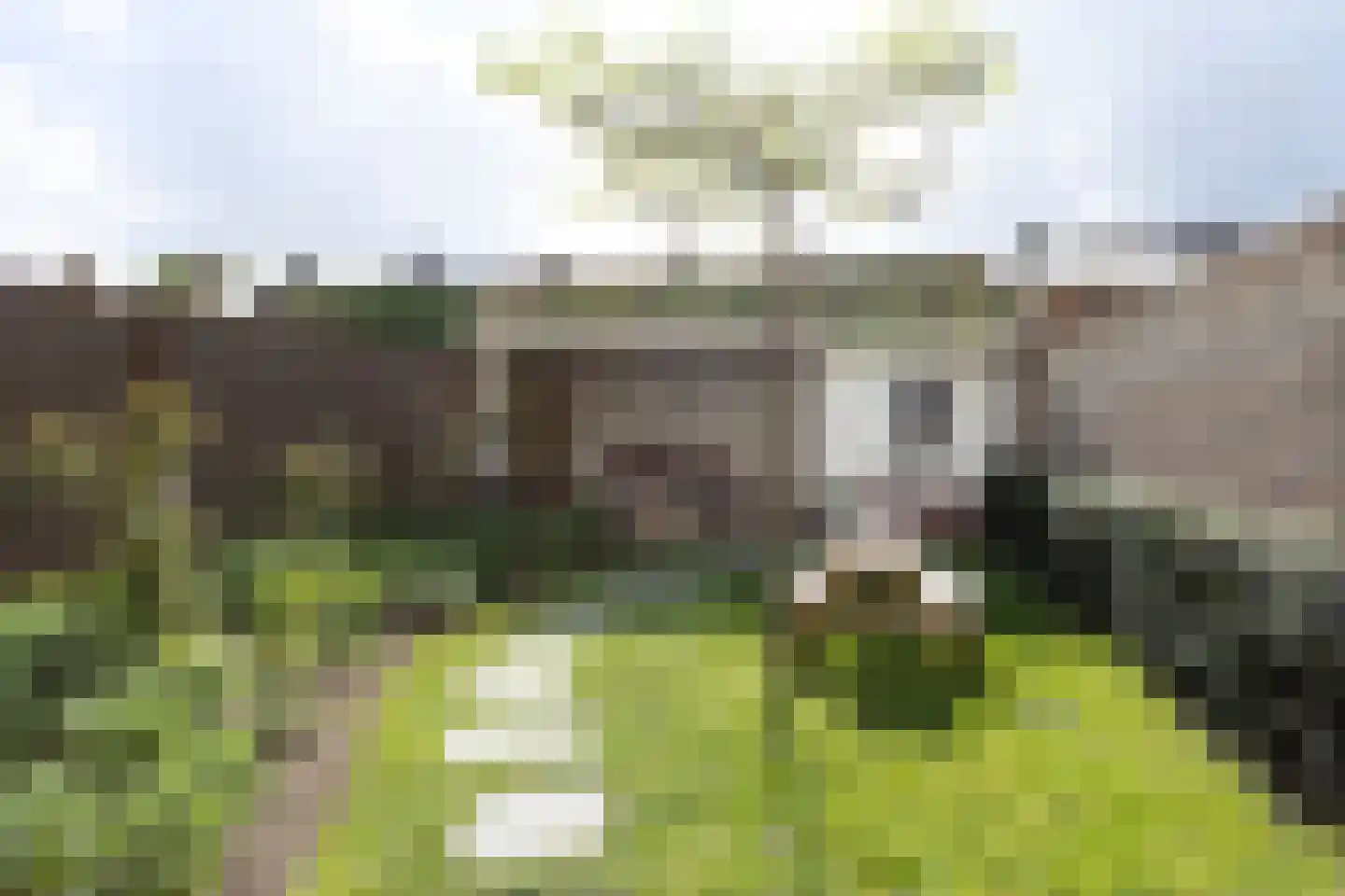 Sint Hubertusstraat 16 Weert thumbnail 50
