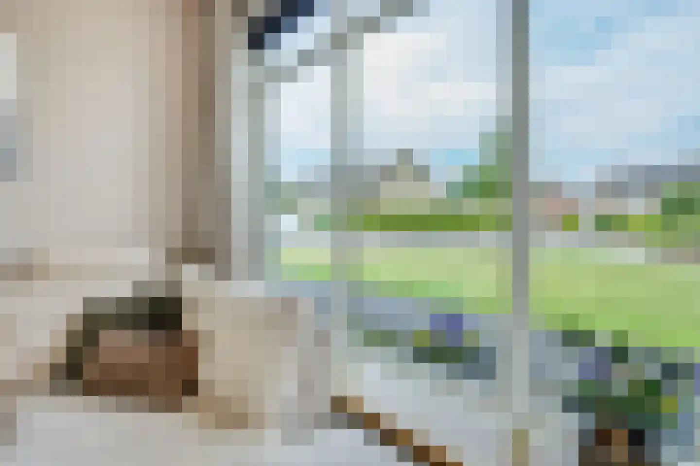 Sint Hubertusstraat 18 Liessel thumbnail 11