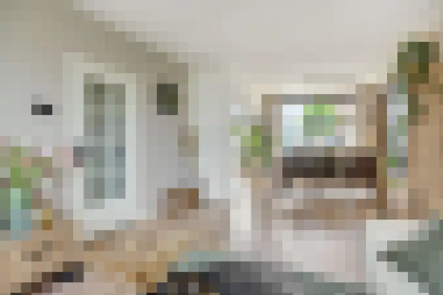 Sint Hubertusstraat 18 Liessel thumbnail 12