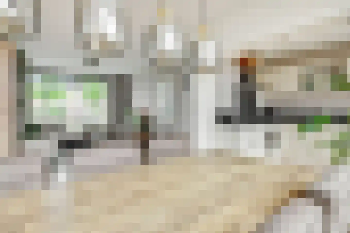 Sint Hubertusstraat 18 Liessel thumbnail 14