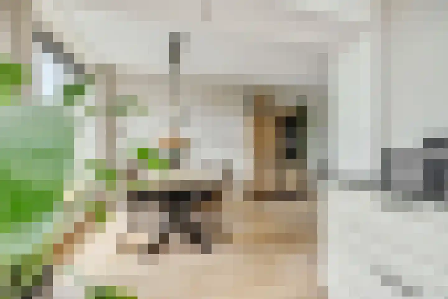 Sint Hubertusstraat 18 Liessel thumbnail 15