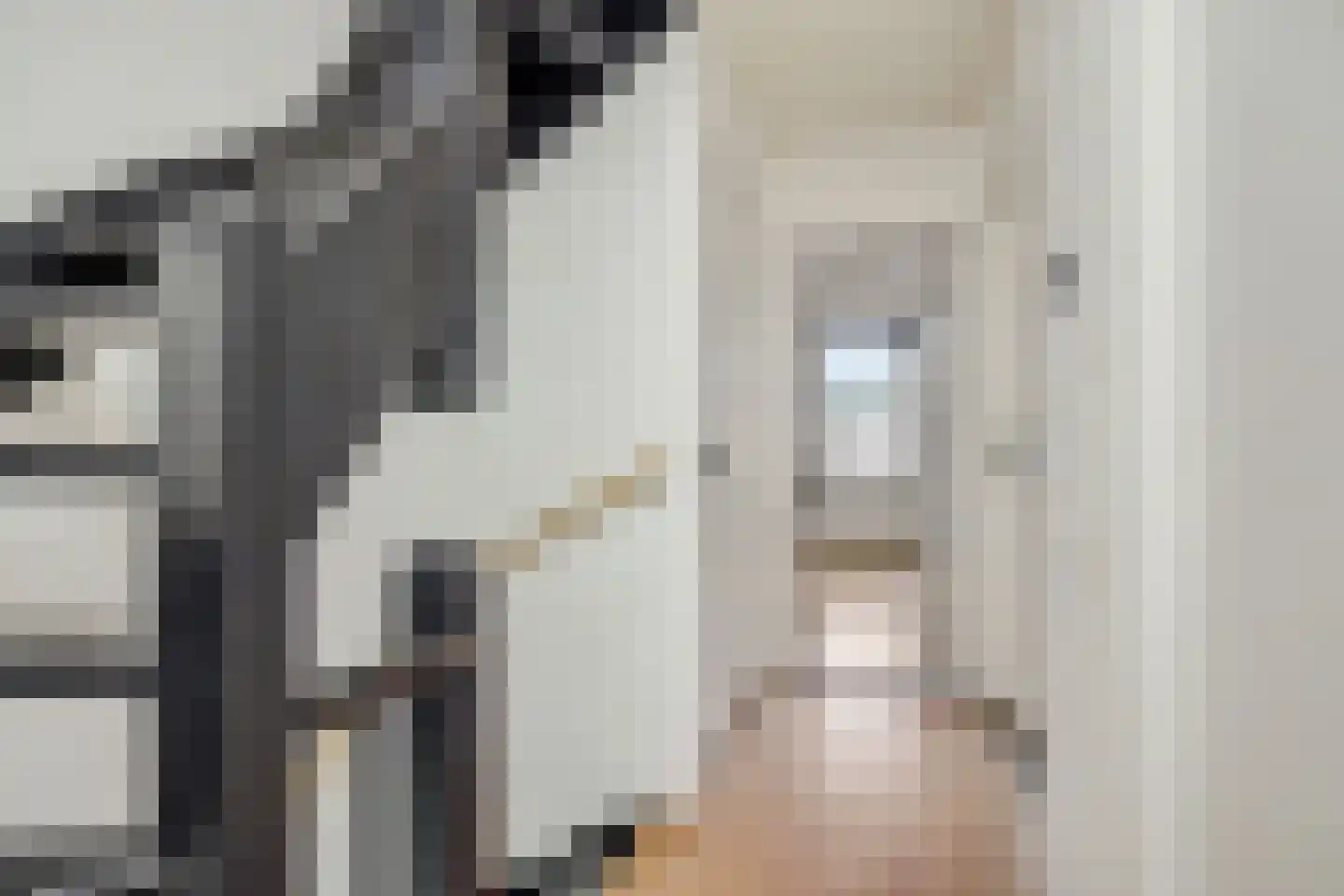 Sint Hubertusstraat 18 Liessel thumbnail 17