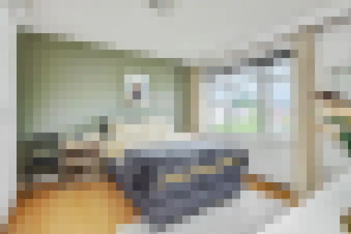 Sint Hubertusstraat 18 Liessel thumbnail 18
