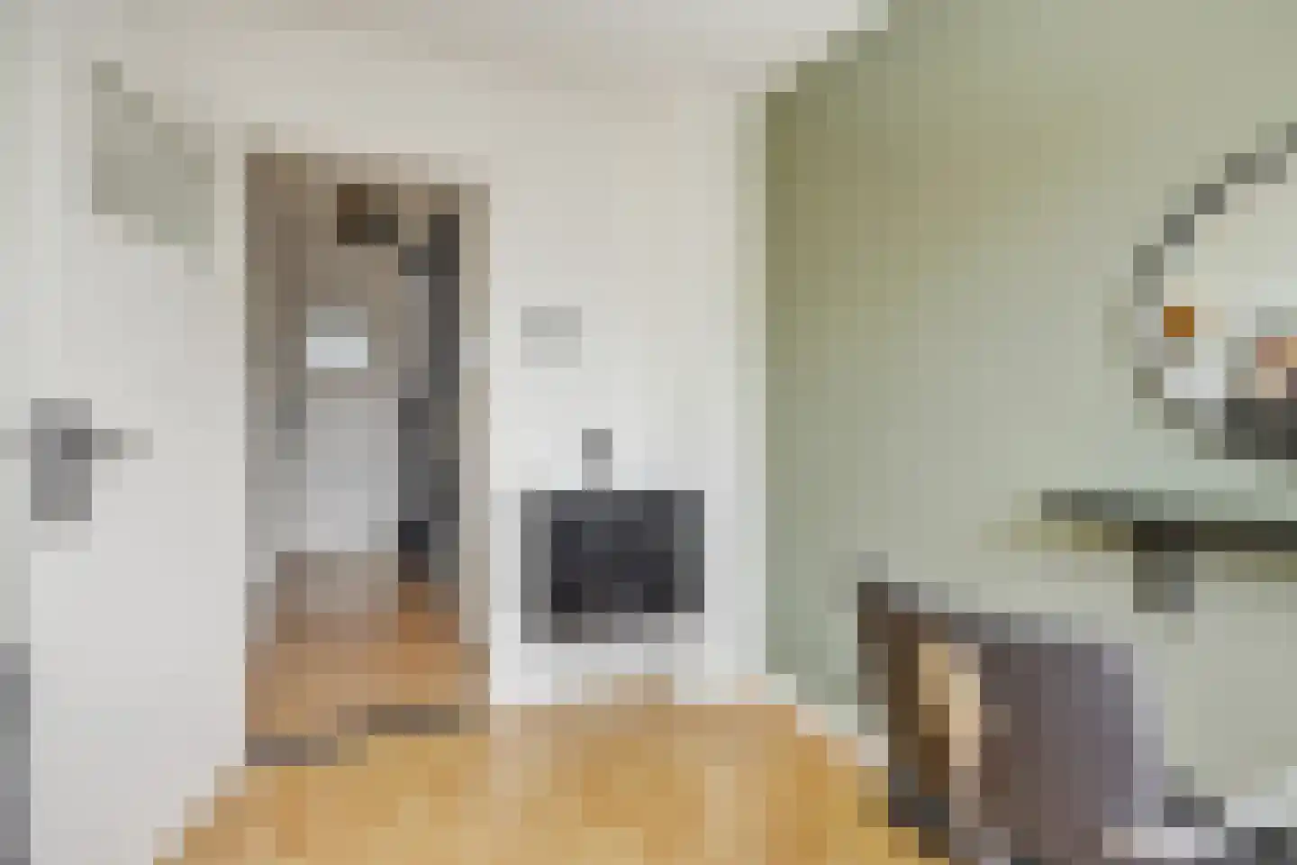 Sint Hubertusstraat 18 Liessel thumbnail 21